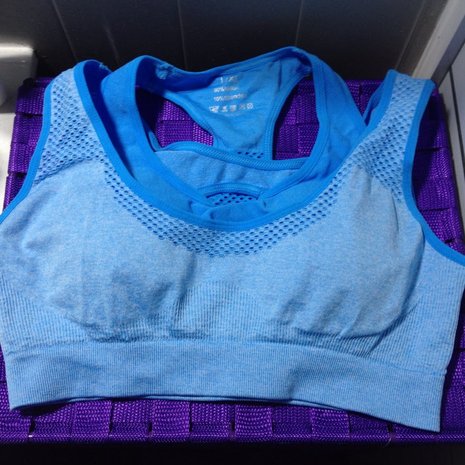 Professional Sports Mesh Fitness Women Yoga Top Sexy Push-up Sports Bra Yoga Fitness Vest Bra Workout Running Top Bra