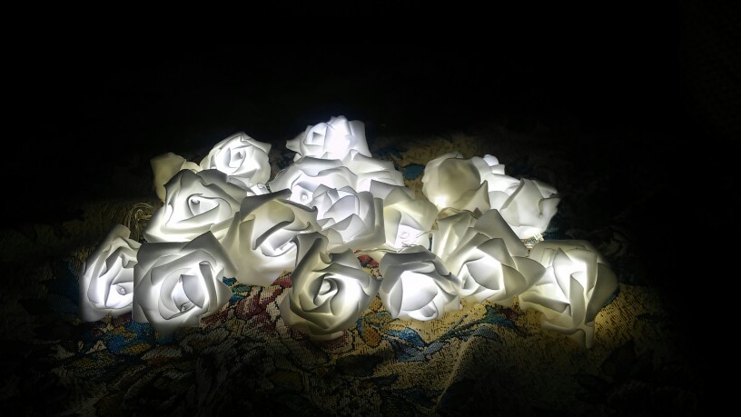 New 2M 20 Rose Battery LED String Light Christmas/Wedding/Party Decoration Lights colorful holiday outdoor decoration led light