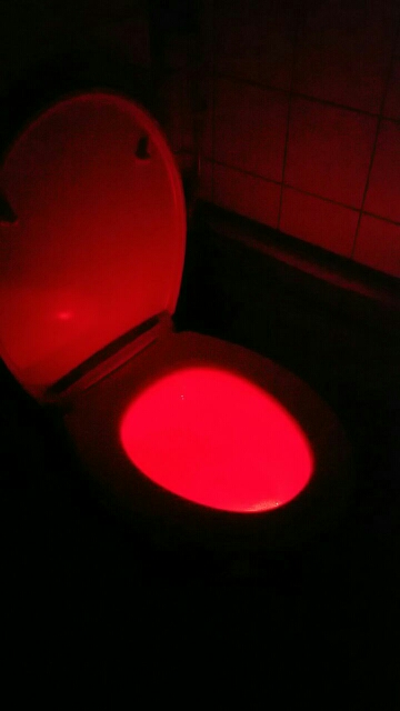 2016 Hot Sale Body Motion Sensor PIR Toilet Light Sensor Toilet Seat LED Lamp Motion Activated Toilet Bowl Night Light